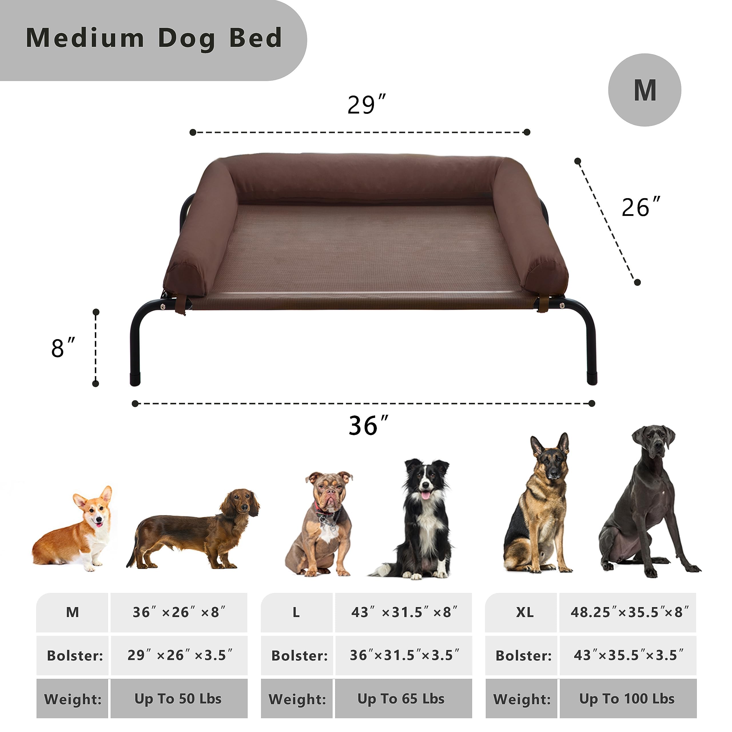 WESTERN HOME anti-chew mesh bed with non-slip feet for paw-friendly stability.