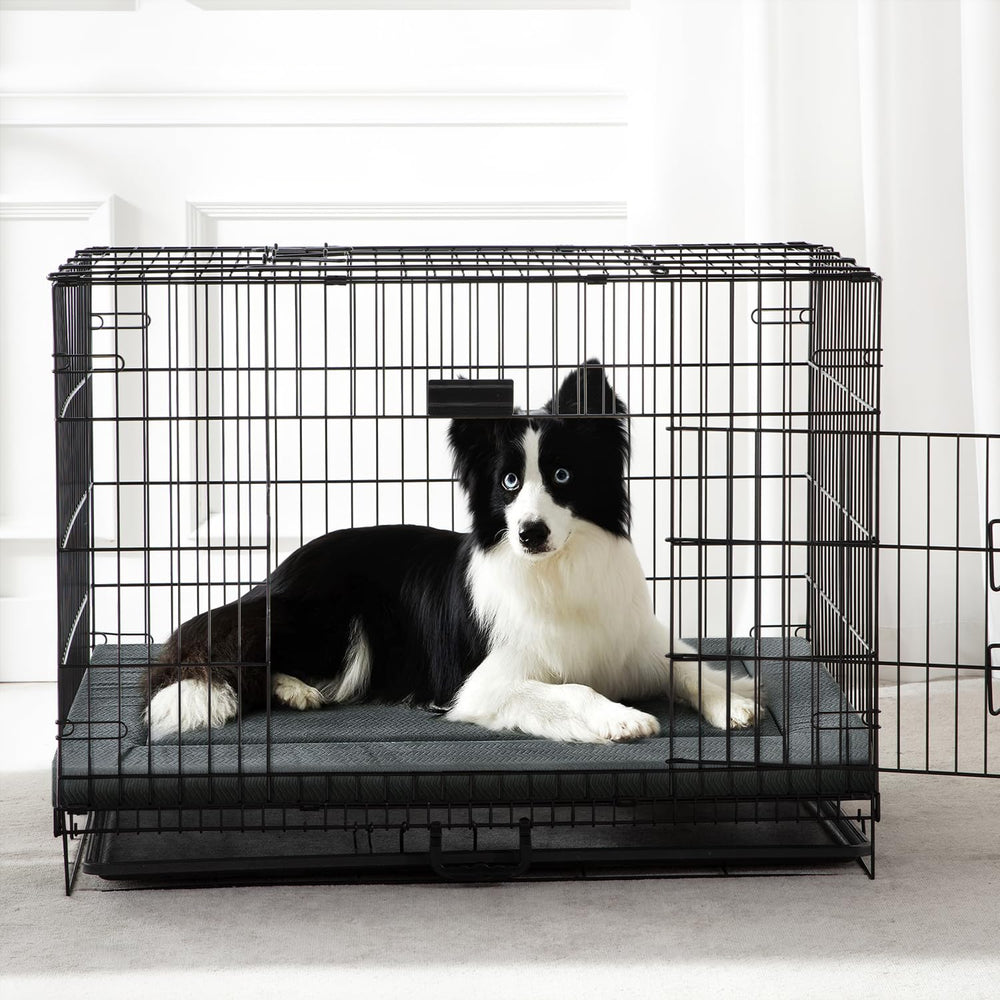 WESTERN HOME dog bed anti-slip-bottom keeps mat in place during play.