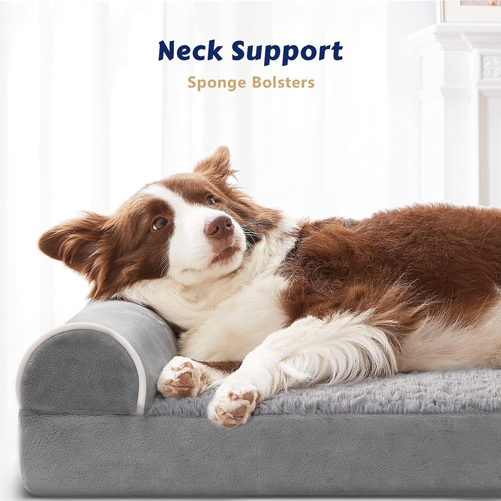 Western Home removable-cover bed enables easy cleaning after outdoor adventures.