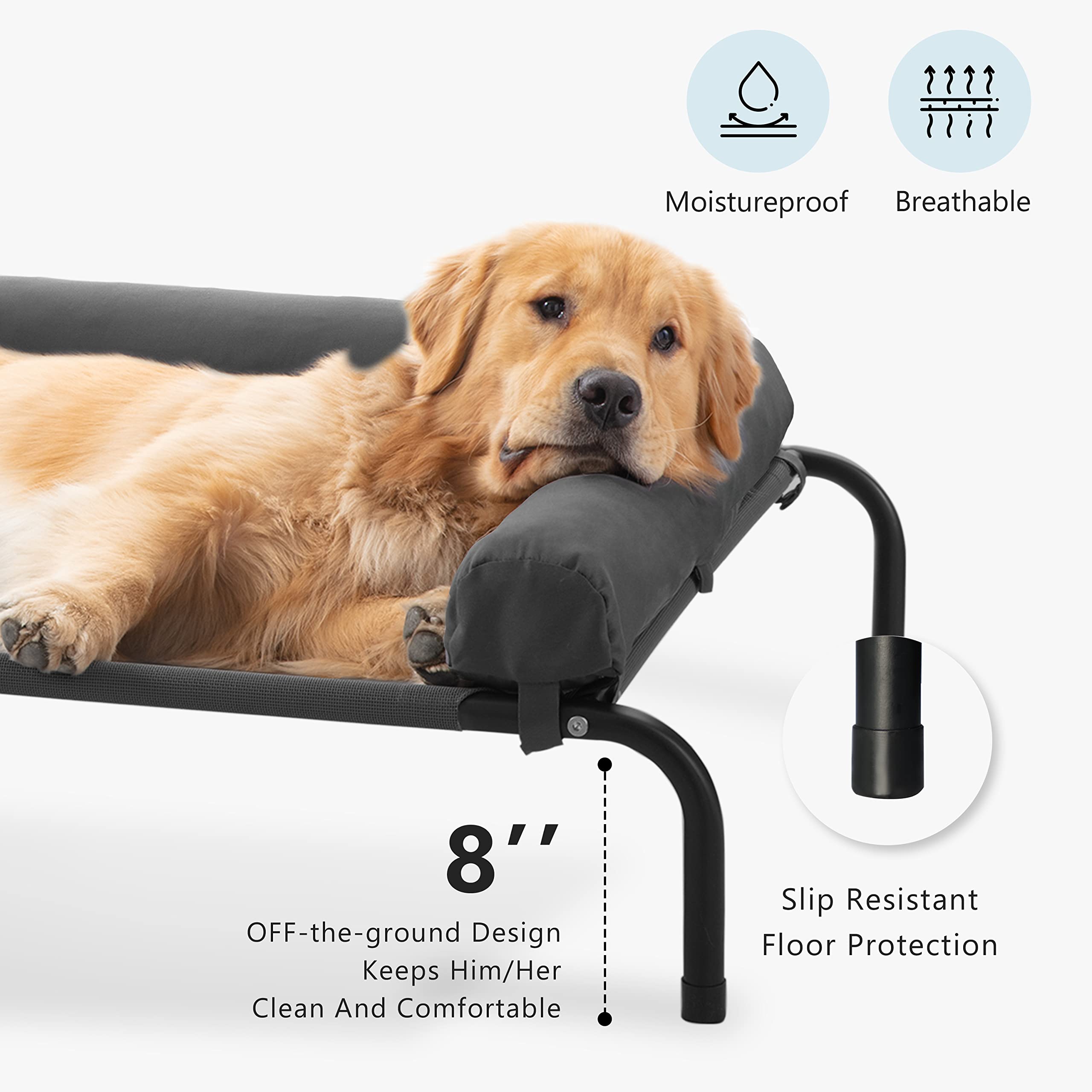 WESTERN HOME powder-coated-frame dog bed shows sturdy support and durability for active large dogs.