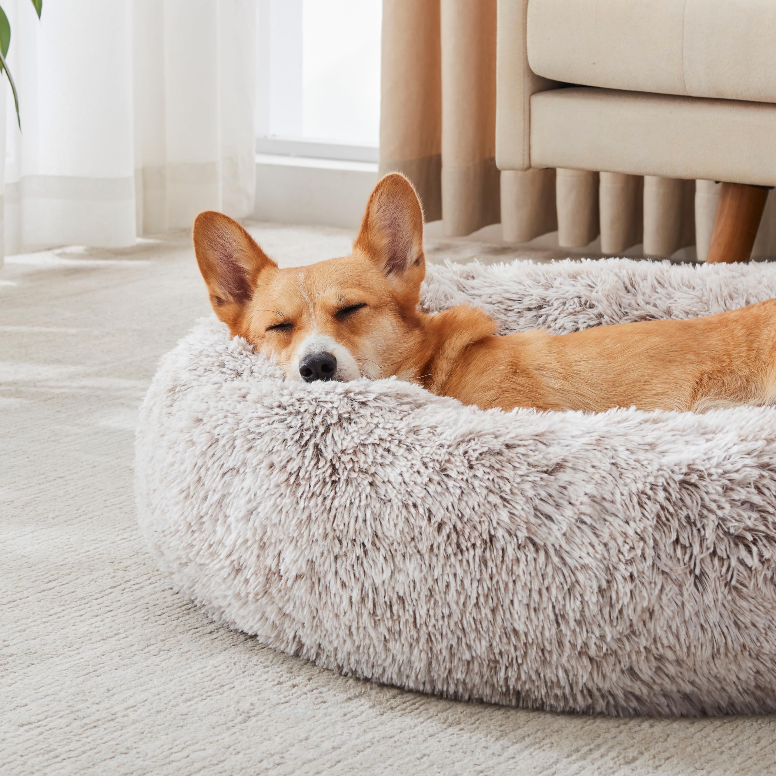WESTERN HOME WH Anti-Slip Bottom Bed keeps pets steady during rest