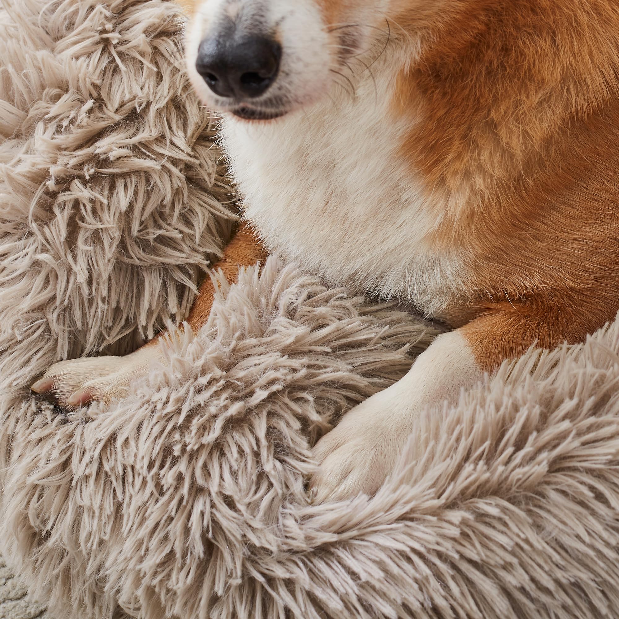 WESTERN HOME WH calming bed anti-slip bottom keeps pets secure.