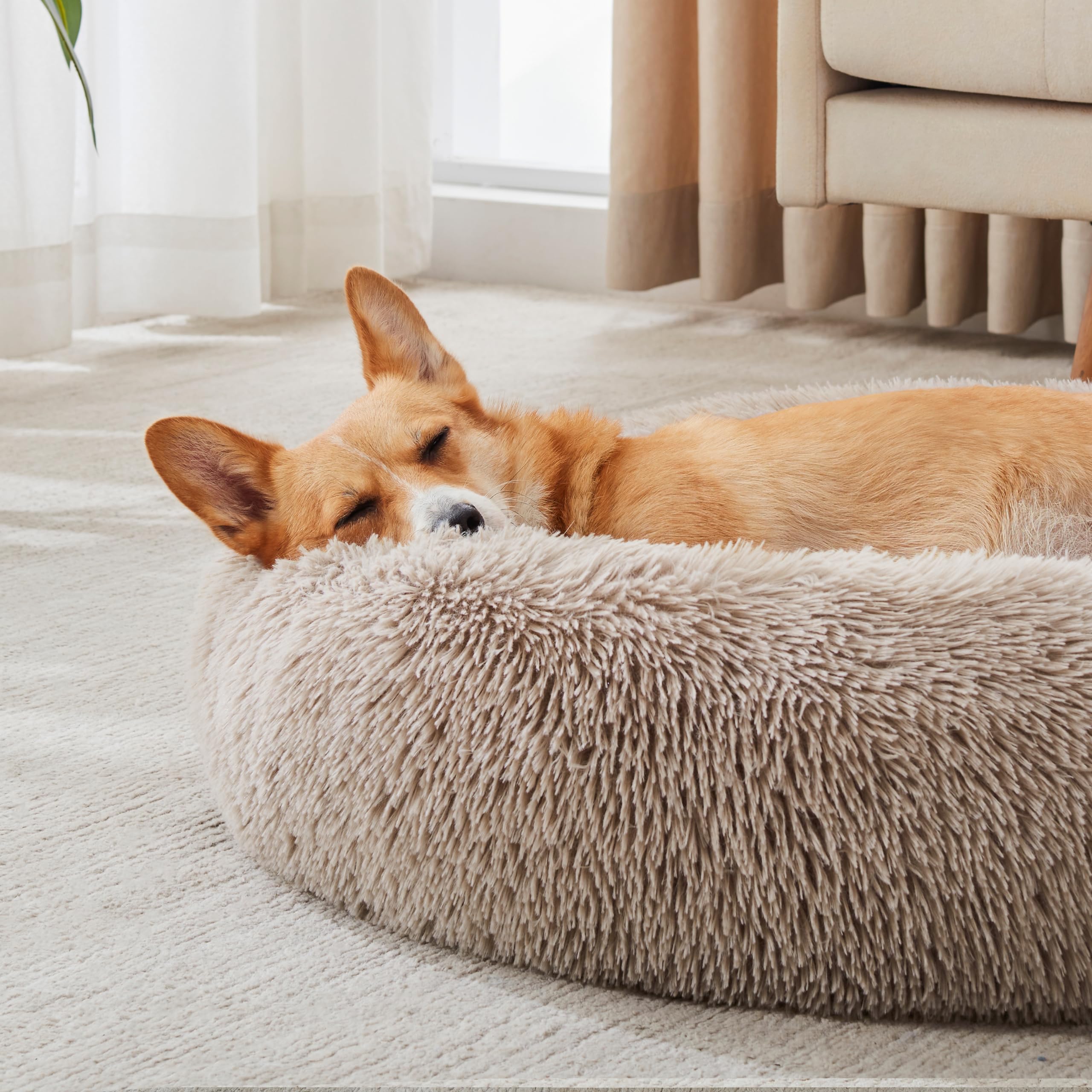 WESTERN HOME WH calming bed faux fur top delivers plush warmth for lounging.
