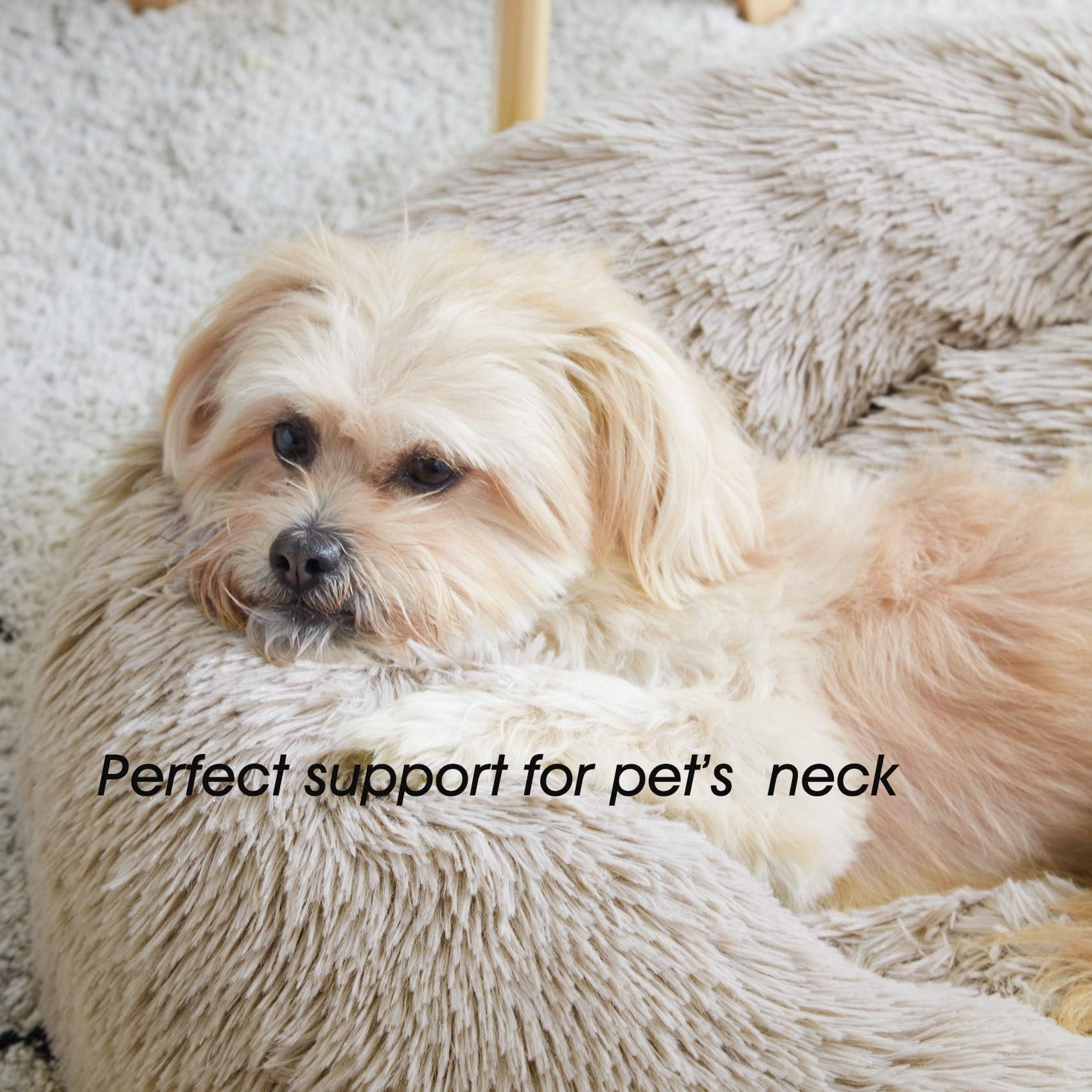 Western Home WH Calming Bed size guide for pets