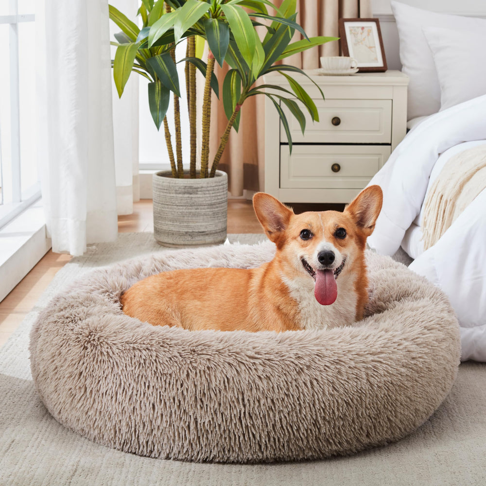WESTERN HOME WH calming bed size options fit small to medium pets.