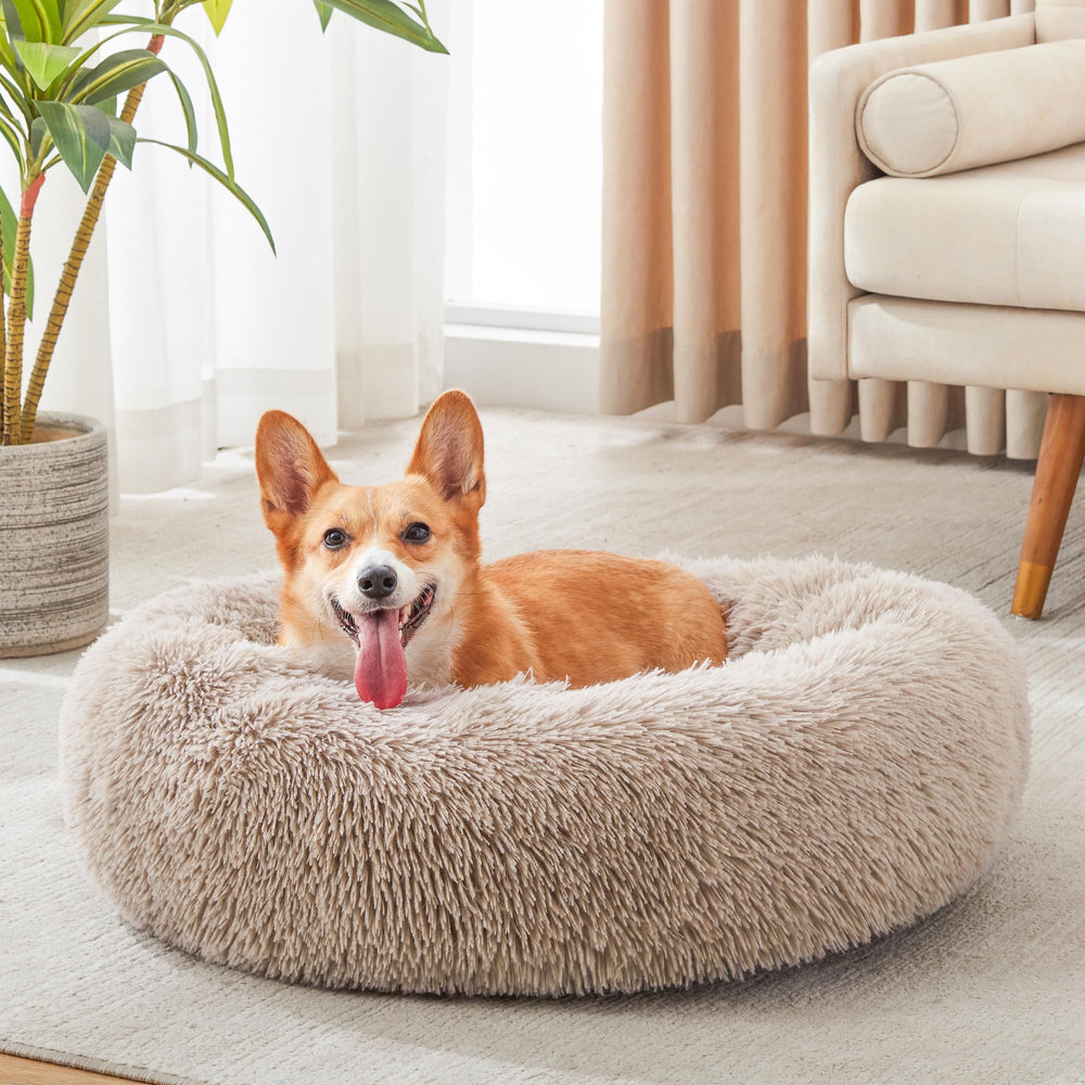 WESTERN HOME WH calming bed soft interior cushions joints for gentle support.