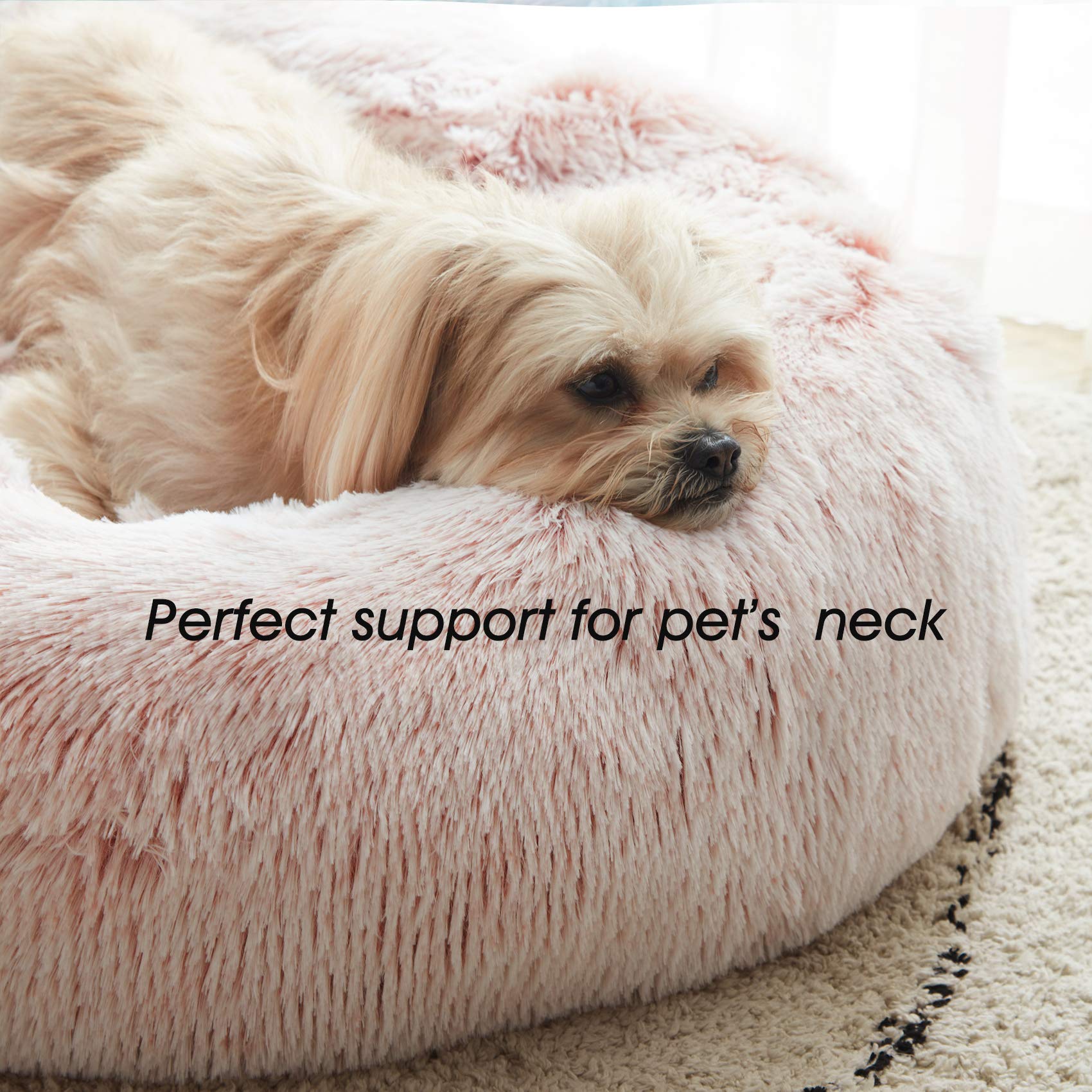 Cama con medidas compactas Western Home WH para mascotas pequeñas