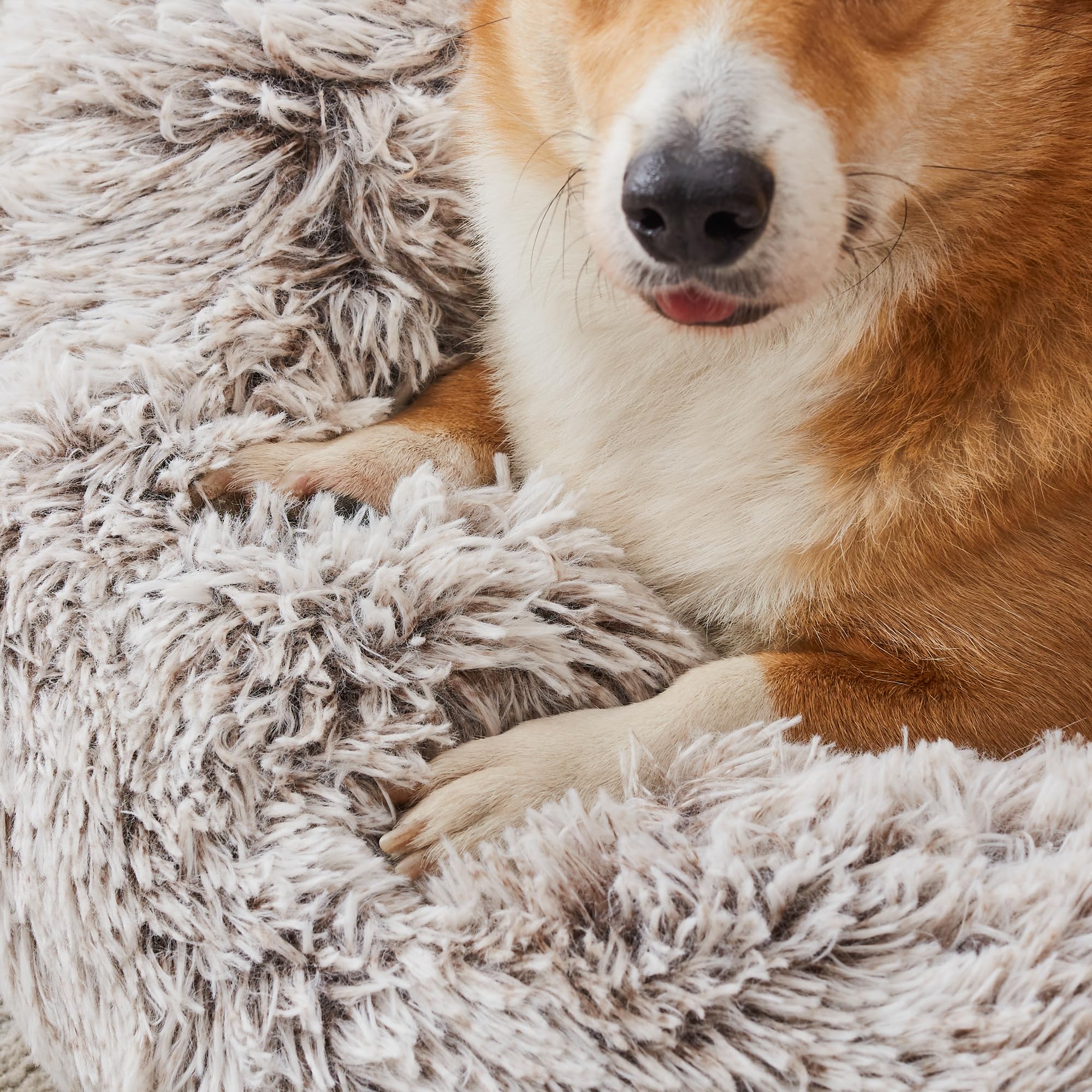 WESTERN HOME WH Large 30-Inch Round Bed accommodates bigger pets for lounging