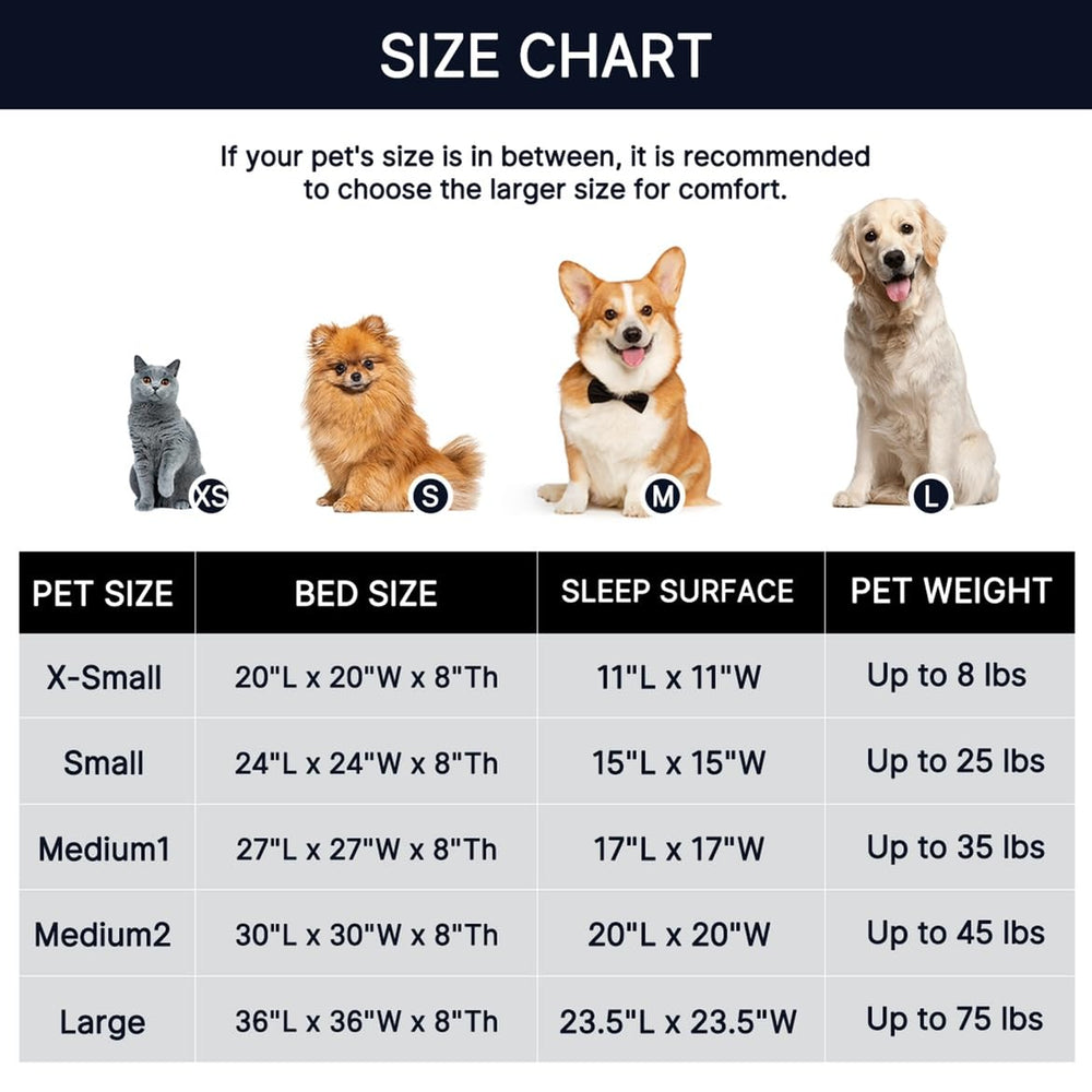 WESTERN HOME WH three size options fit small to medium pets for a tailored fit.