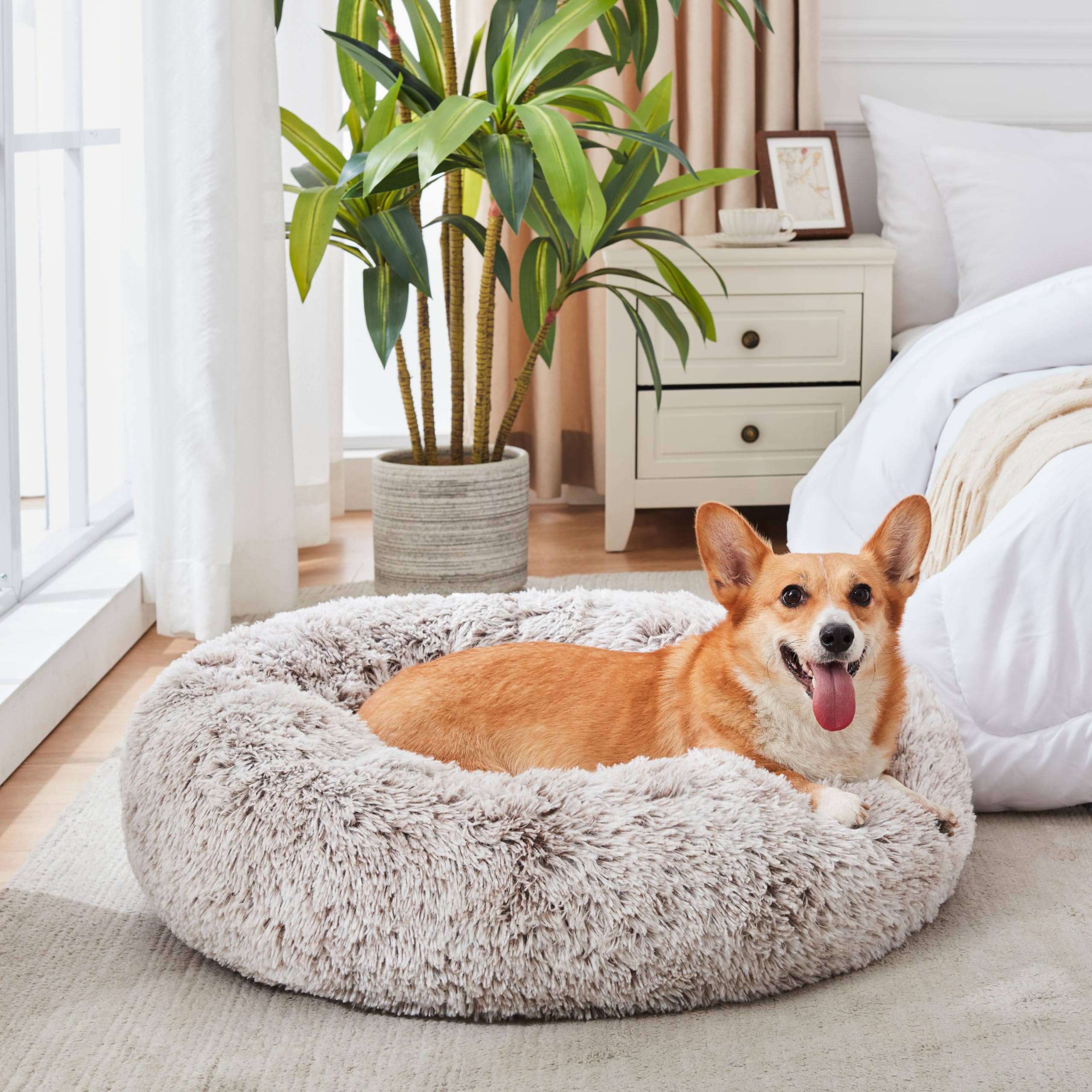 WESTERN HOME WH Small 20-Inch Bed fits tiny pups for secure naps