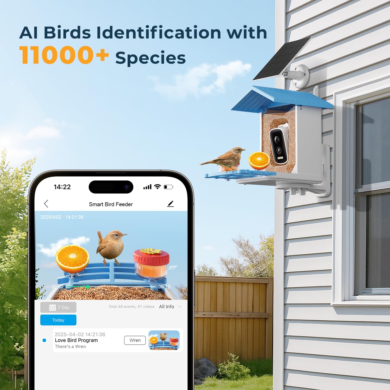 WESTHEY Bird Feeder 2.5K HD camera close up of visiting birds