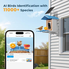 WESTHEY Bird Feeder 2.5K HD camera close up of visiting birds