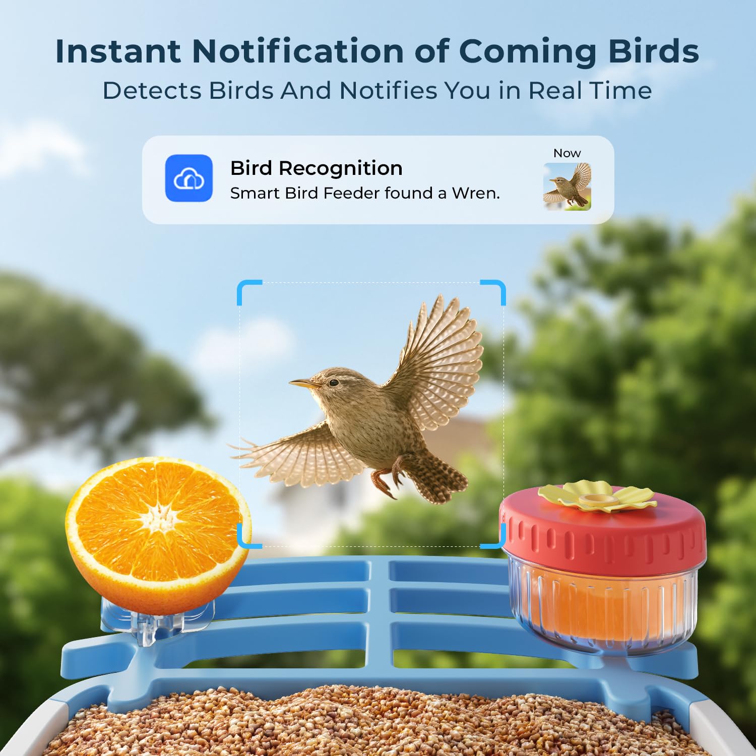 WESTHEY Bird Feeder IP66 waterproof for outdoor weather resilience