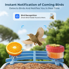 WESTHEY Bird Feeder IP66 waterproof for outdoor weather resilience