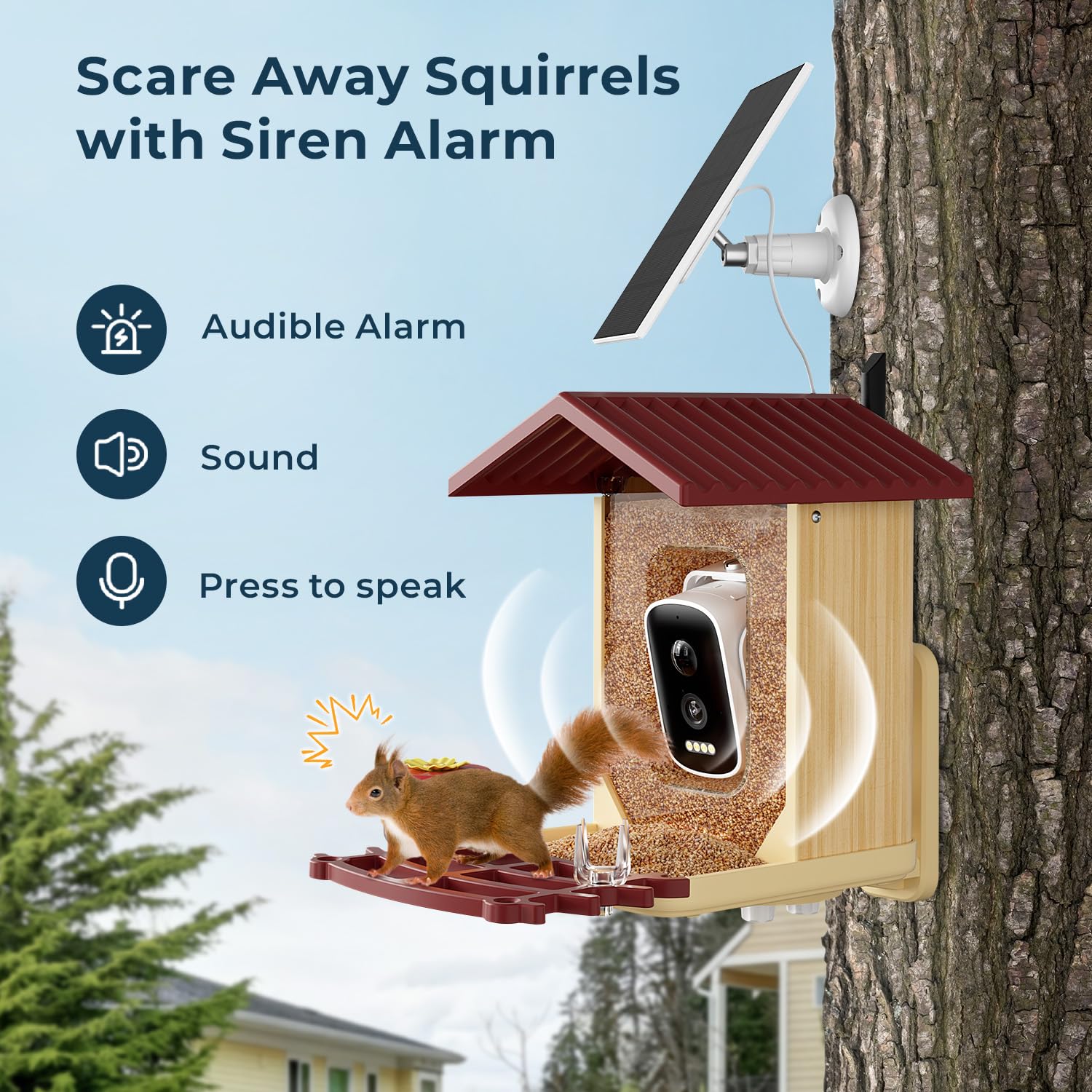 WESTHEY Bird Feeder video capture live stream view emphasizing automated clips