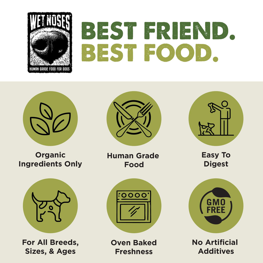 Wet Noses Organic Crunchy Dog Treats apple-ginger crunchy bite for variety and flavor