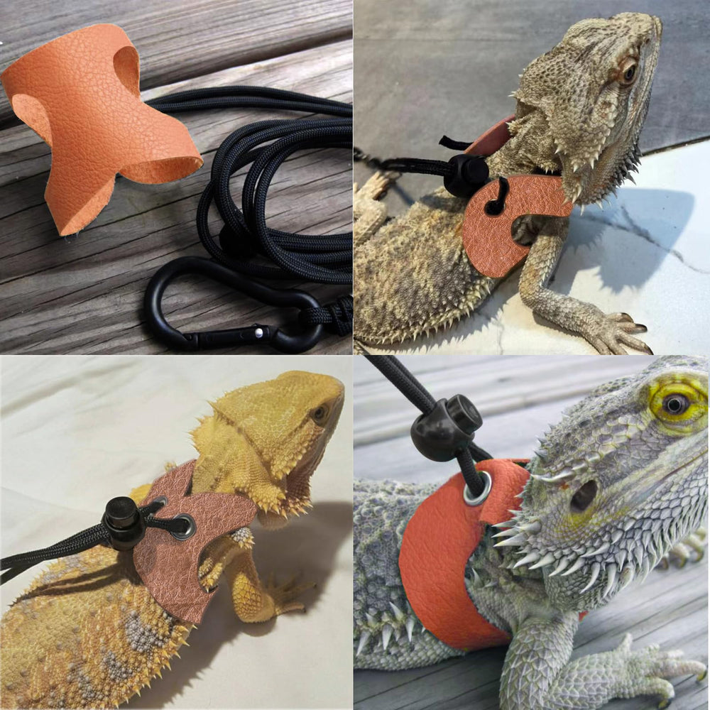 WEVONIGU bearded dragon backpack leash ensures secure, hands-free exploration.