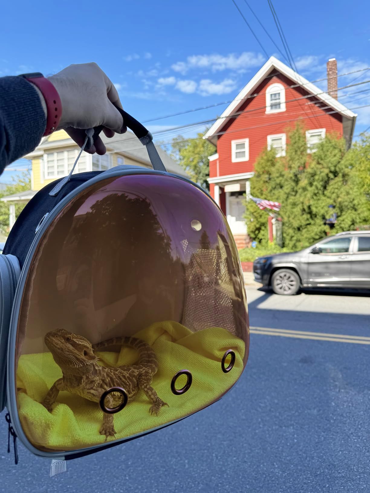 WEVONIGU bearded dragon backpack outdoor use for comfortable outdoor adventures.