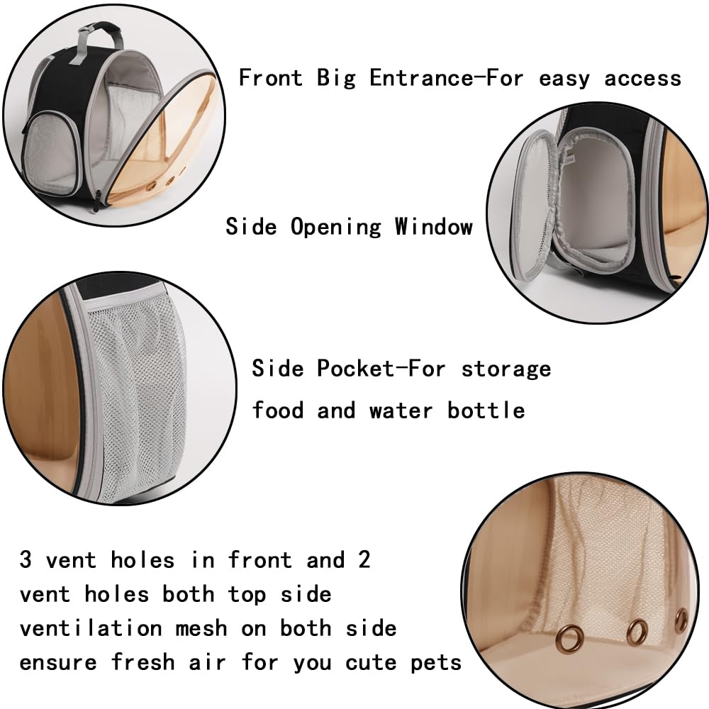 WEVONIGU lizard travel carrier airline-approved for smooth airport transitions.