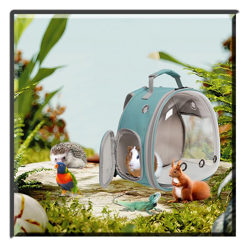 WEVONIGU Bearded Dragon Backpack Internal Space fits reptile securely.