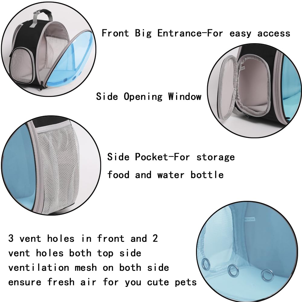 WEVONIGU Bearded Dragon Travel Backpack with polarized window shielding eyes from bright light.