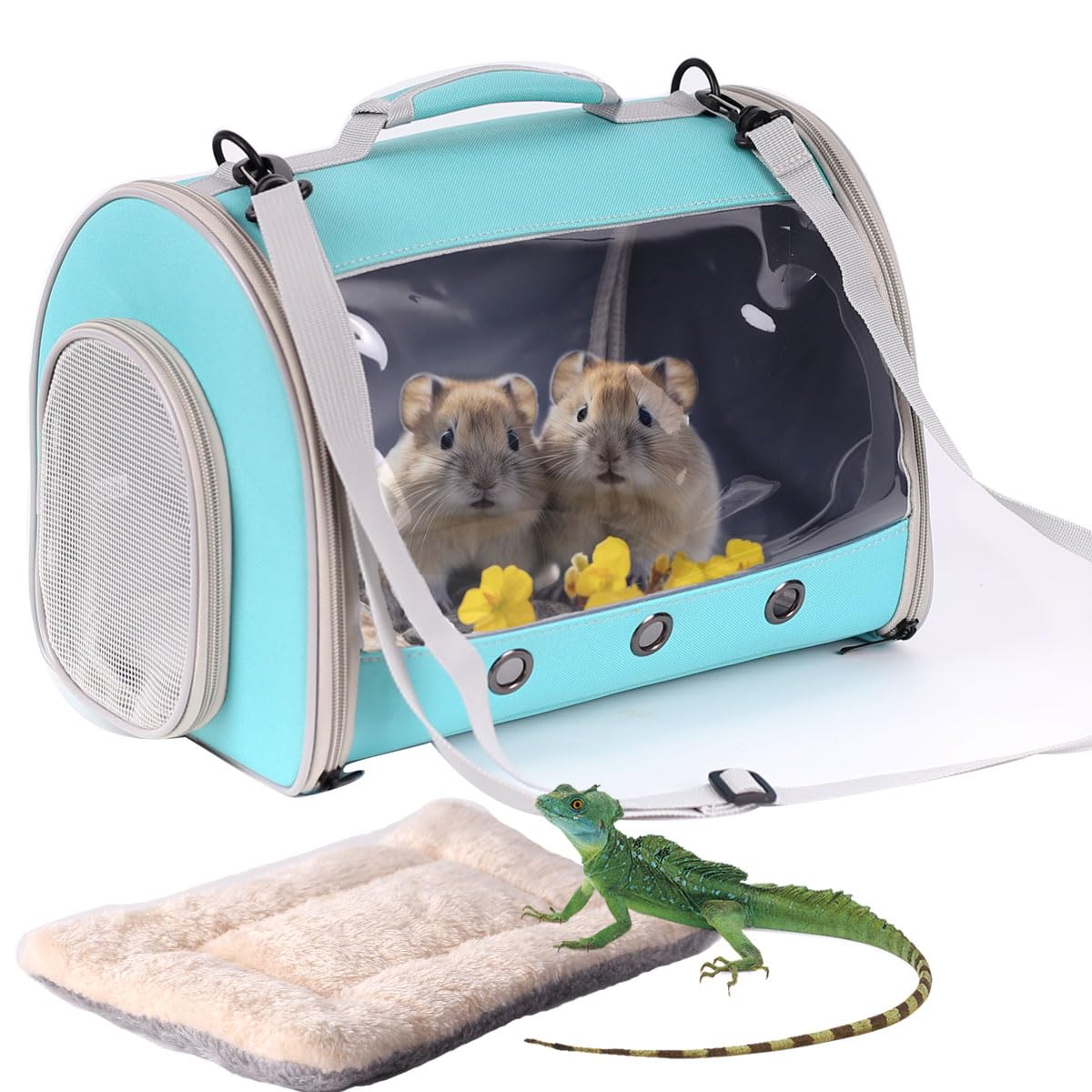 WEVONIGU bearded dragon travel carrier backpack with green exterior and camping-ready design.