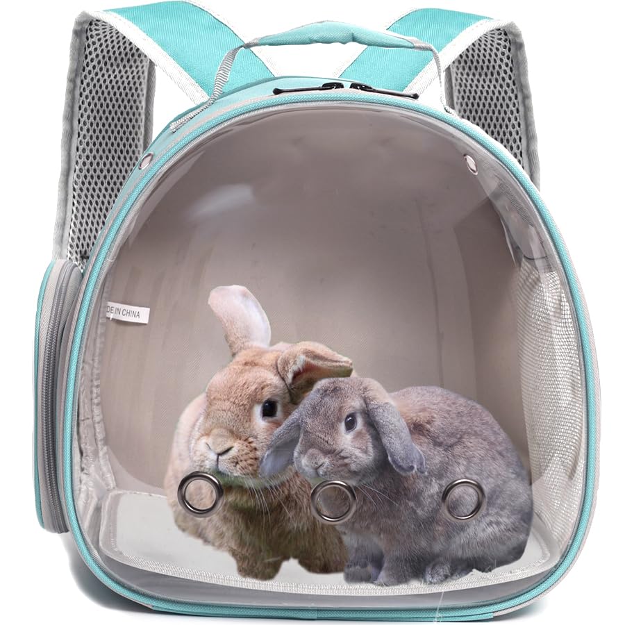 WEVONIGU lightweight travel backpack designed for easy pet commuting