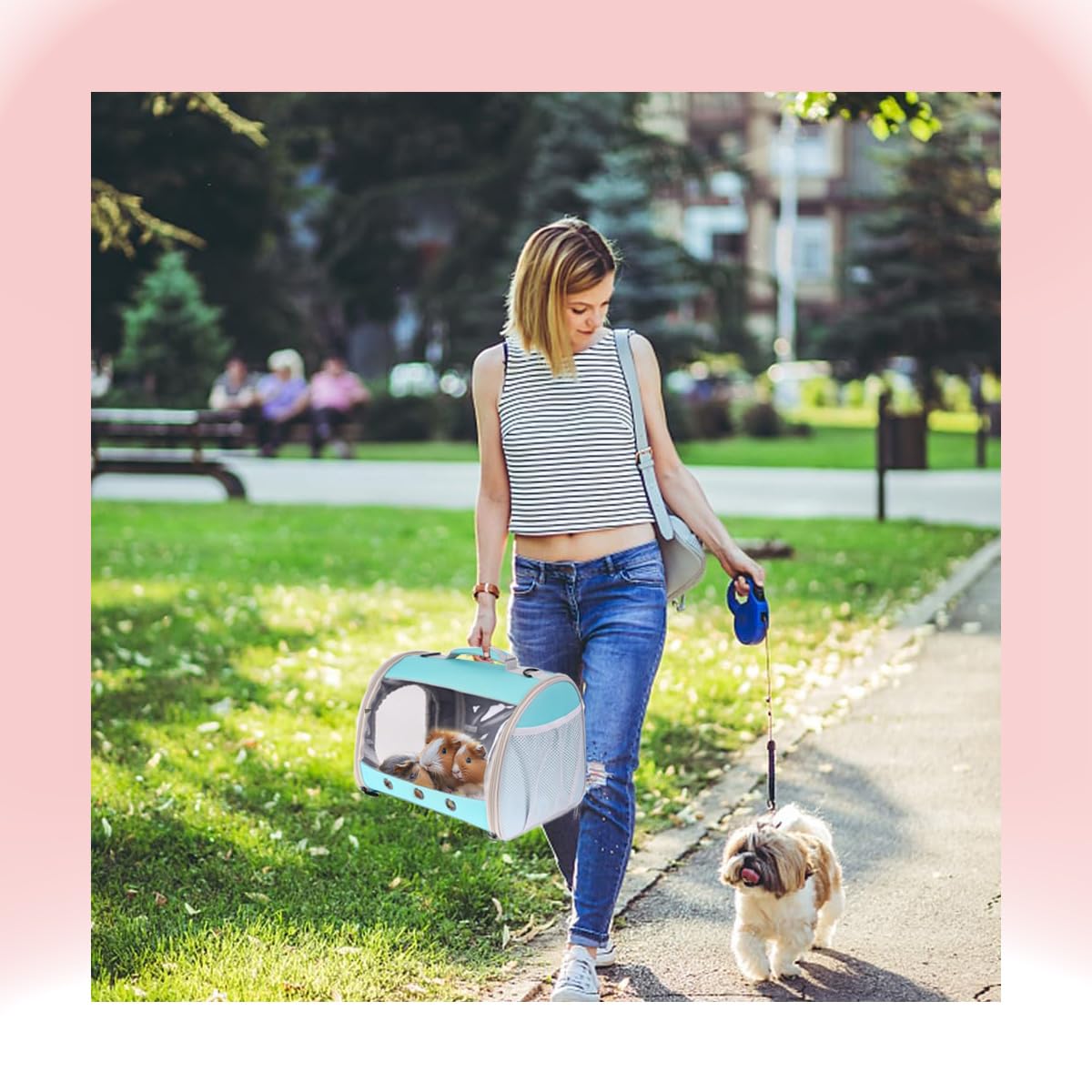 WEVONIGU reptile travel carrier fits small pets on trips.