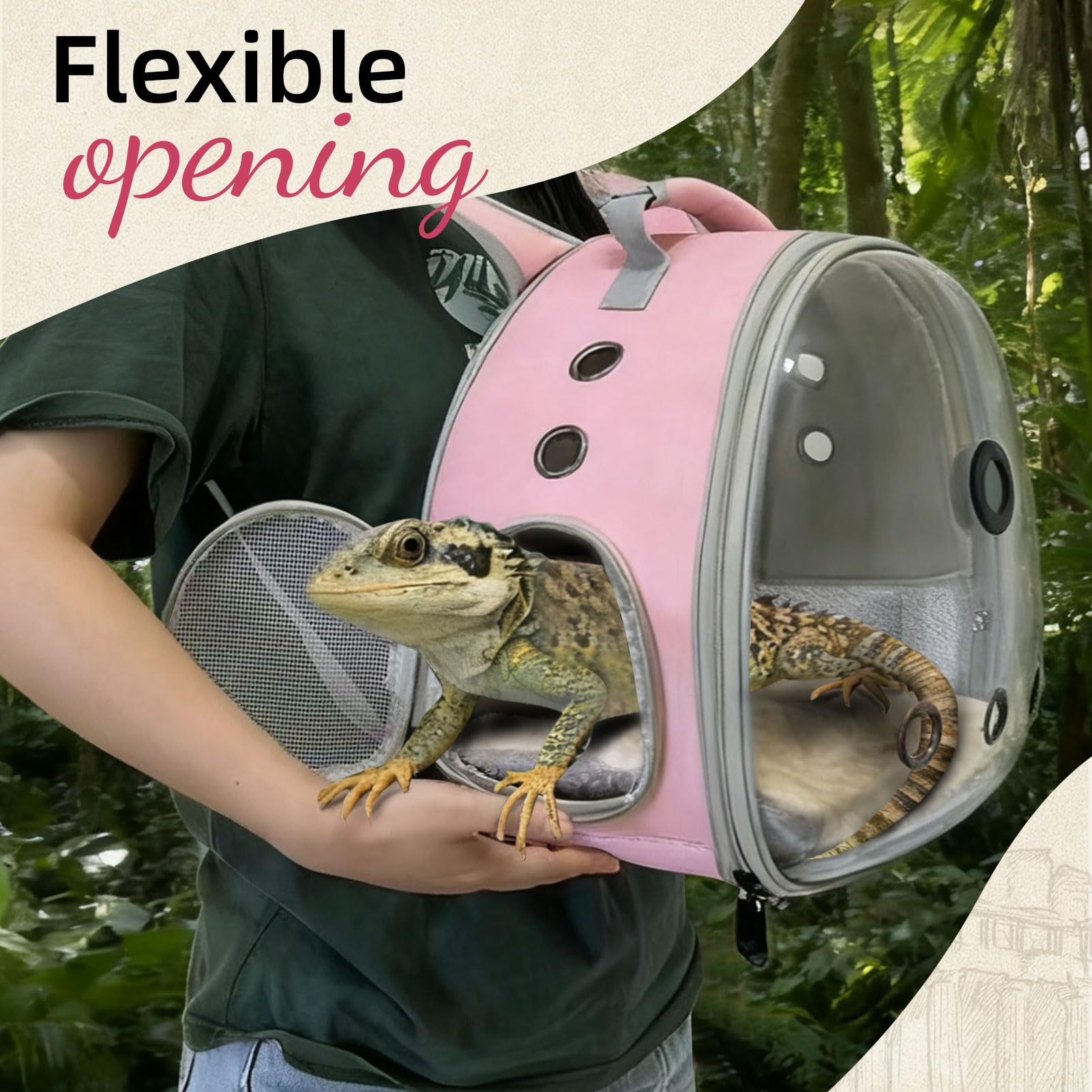 WEVONIGU travel cage with breathable holes ensures airflow.