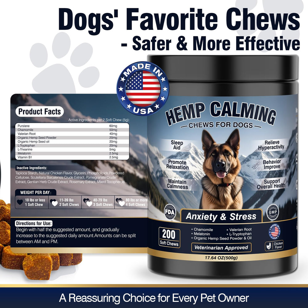 WEYILL lifestyle shot of a dog enjoying a calm evening with chews.