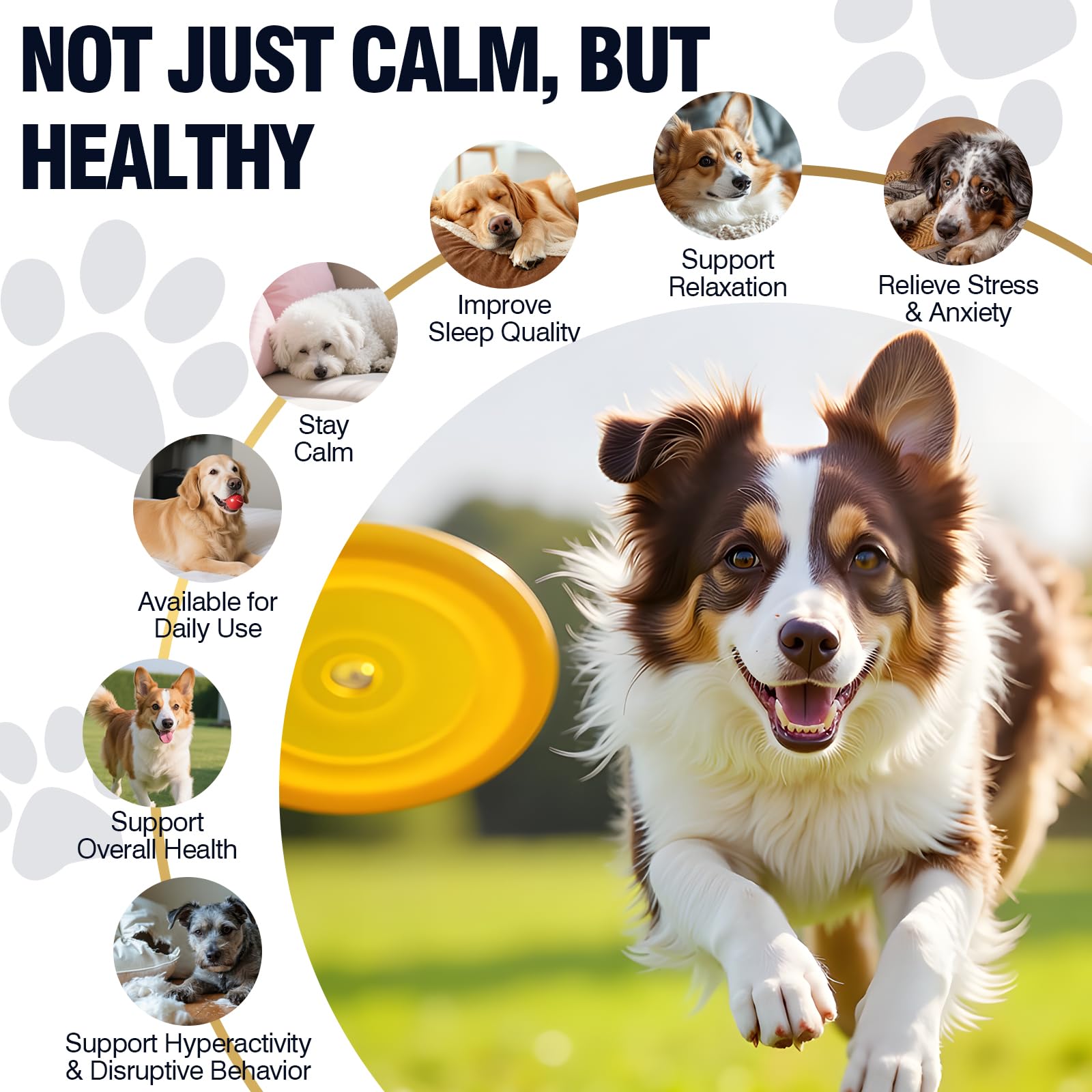 WEYILL dog sniffing chews image indicating calming support during vet visits.