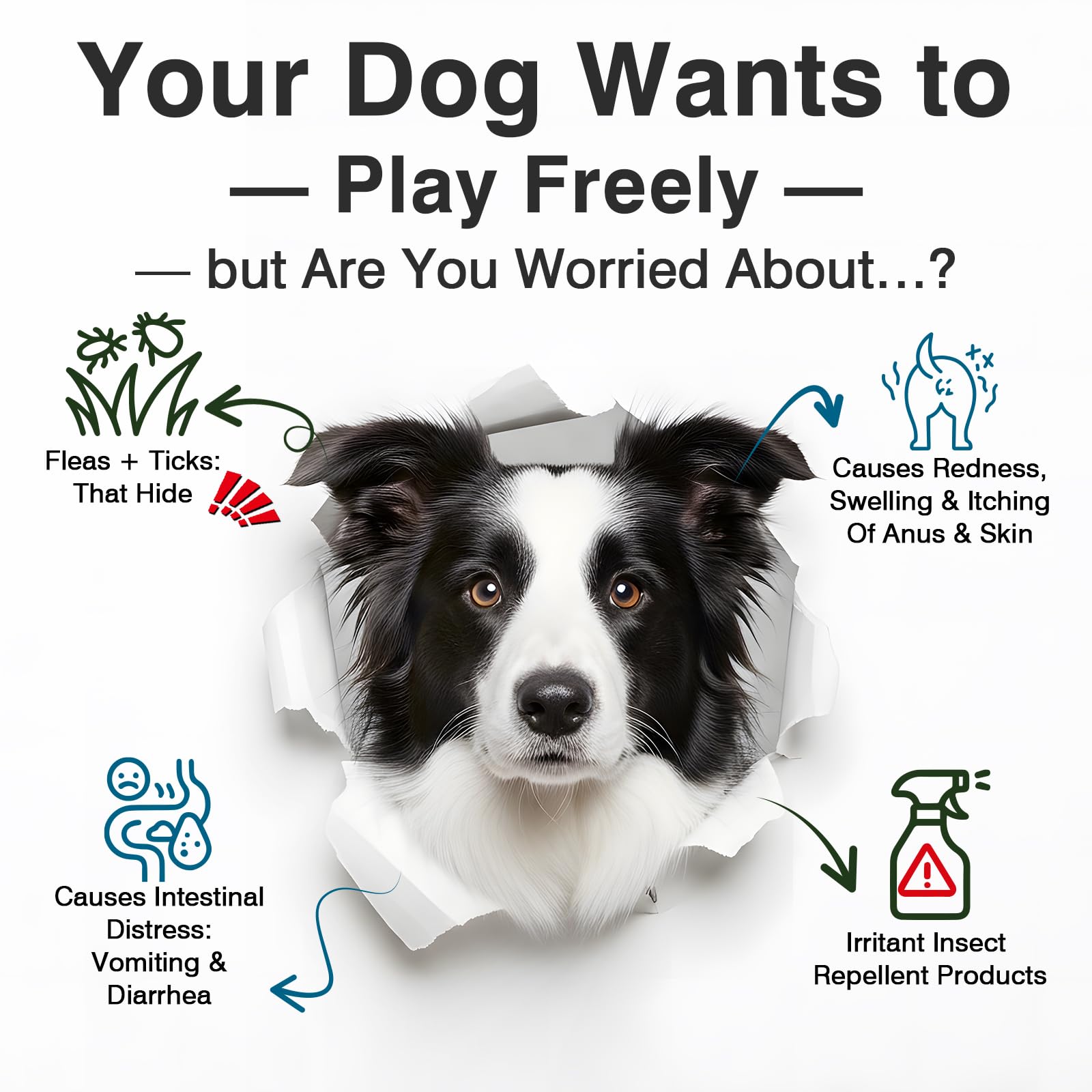 WEYILL probiotic chews label highlights gut health ingredients and digestive enzymes.