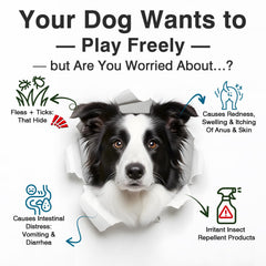 WEYILL probiotic chews label highlights gut health ingredients and digestive enzymes.