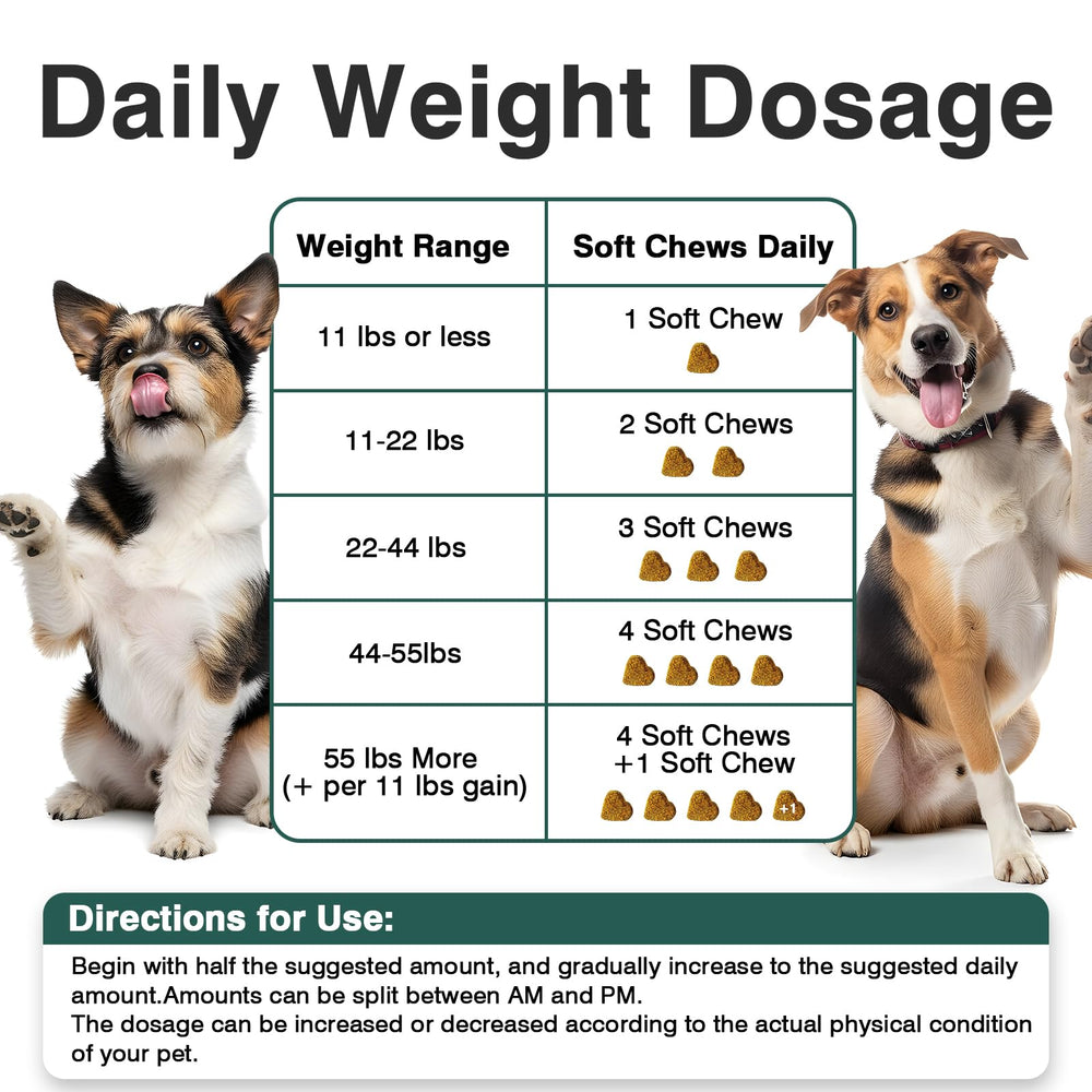 WEYILL skin and coat health visual suggests inner support benefits.