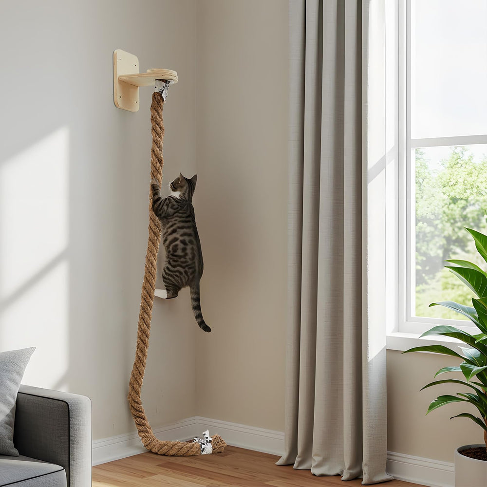 Weysat assembly instructions illustrate simple wall mounting for quick setup.