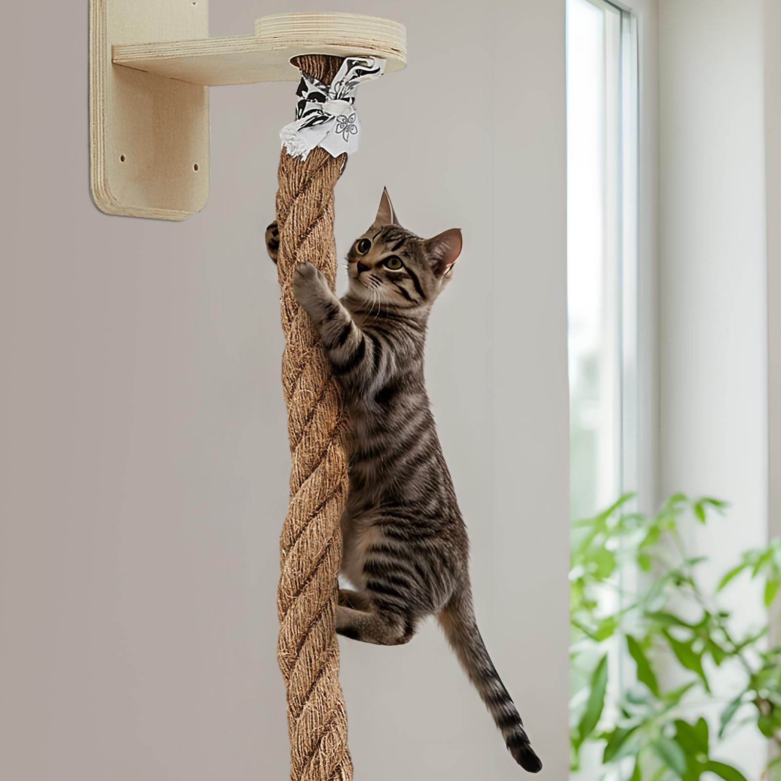 Weysat space-saving design maximizes vertical play without cluttering floors.
