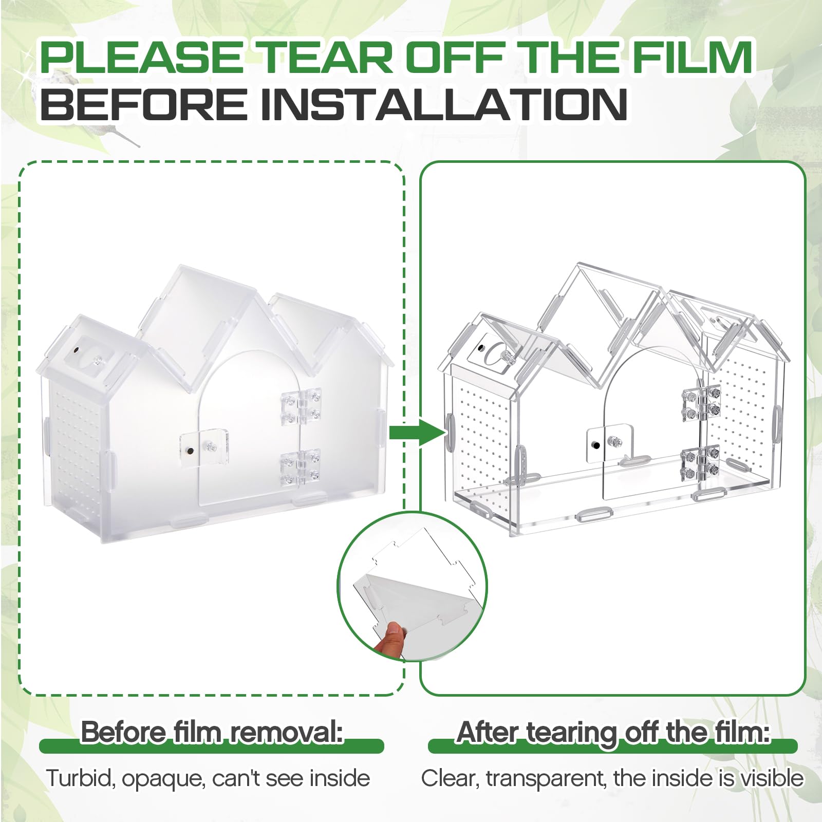 Weysat jumping spider enclosure ventilation ports promote healthy air circulation.
