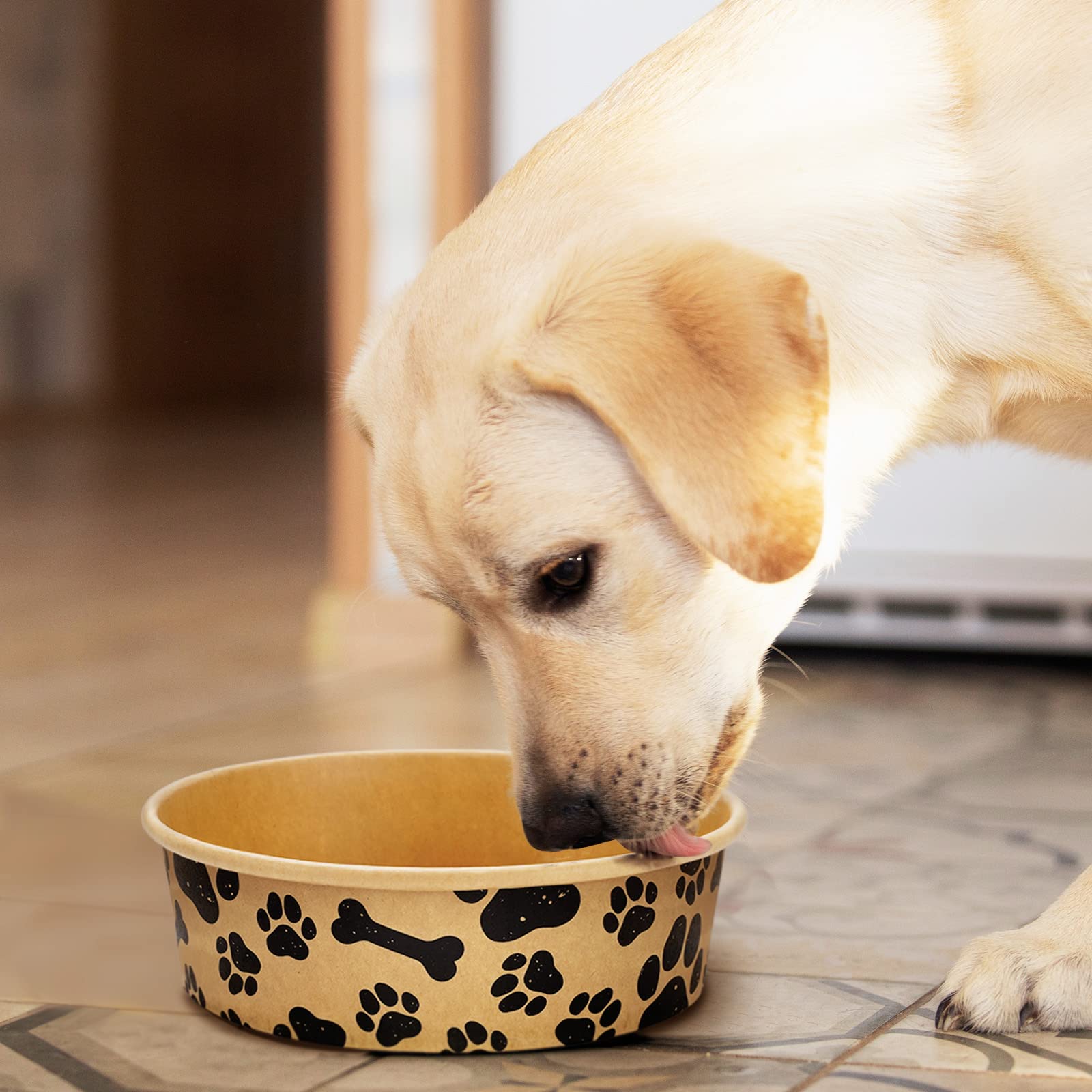 Whaline bowls designed for puppies and cats with attractive design for feeding.