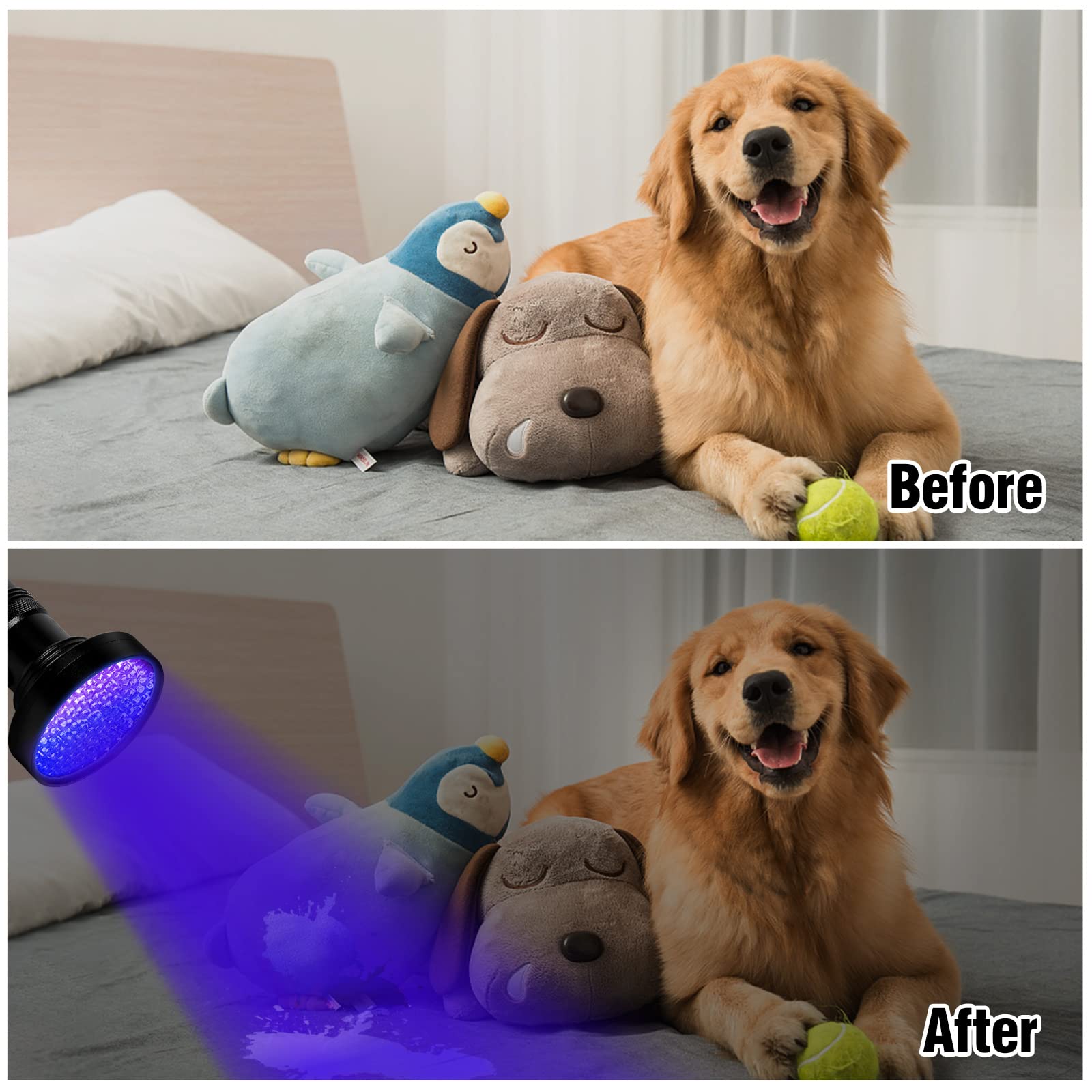 Whaply Black Light Flashlight batteries not included notice for power setup