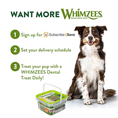 Whimzees dental chews shown as daily breath-freshening treat.