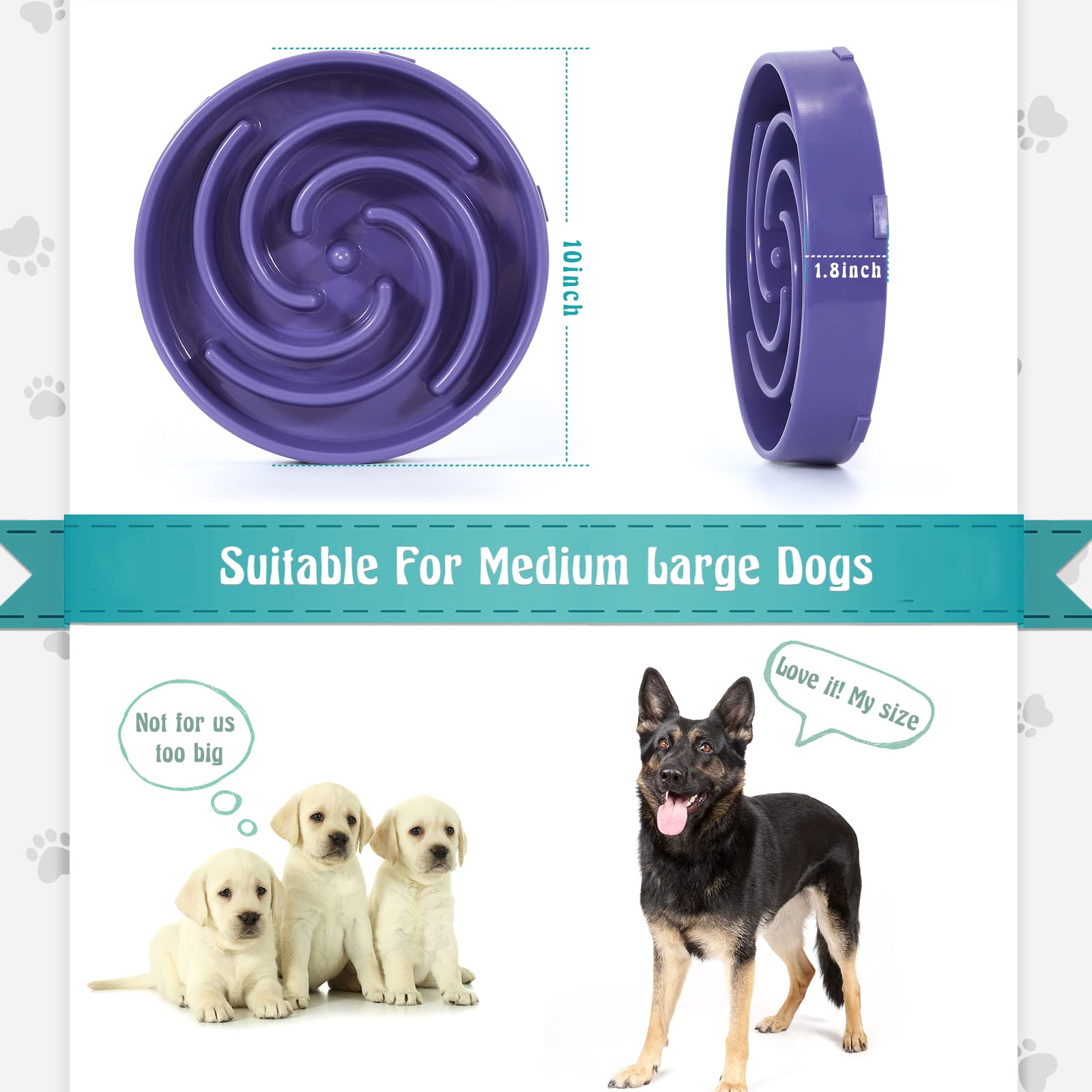 WHIPPY lavender bowl supports dry, wet, or raw meals