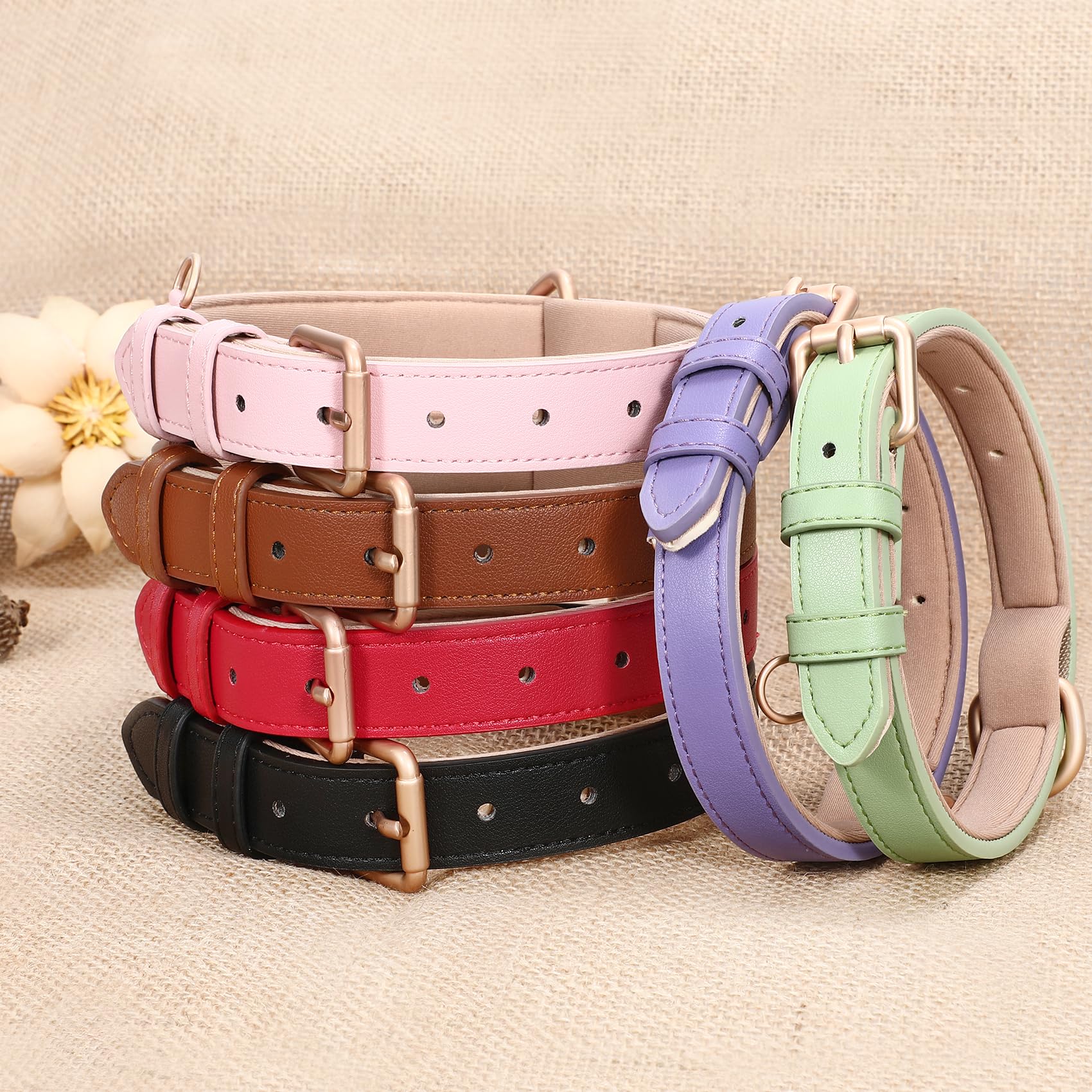 WHIPPY Leather Dog Collar d-ring and gold finish for secure leash attachment.