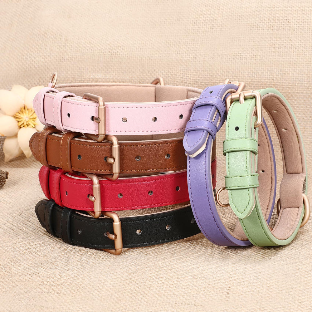WHIPPY Leather Dog Collar d-ring and gold finish for secure leash attachment.