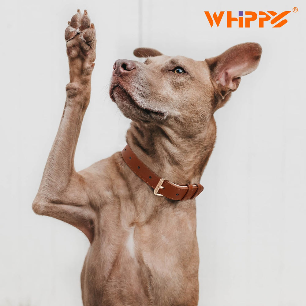 WHIPPY Leather Dog Collar size chart helps choose the right fit.