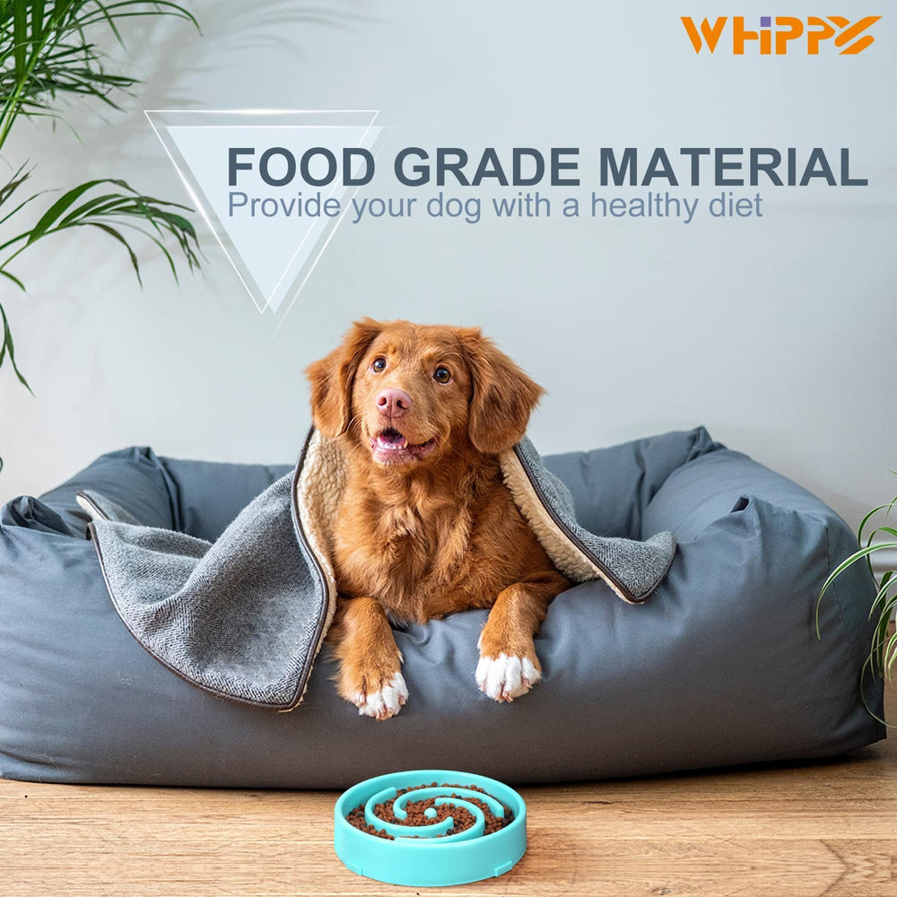 WHIPPY puzzle bowl supports diet variety for dry, wet, or raw meals