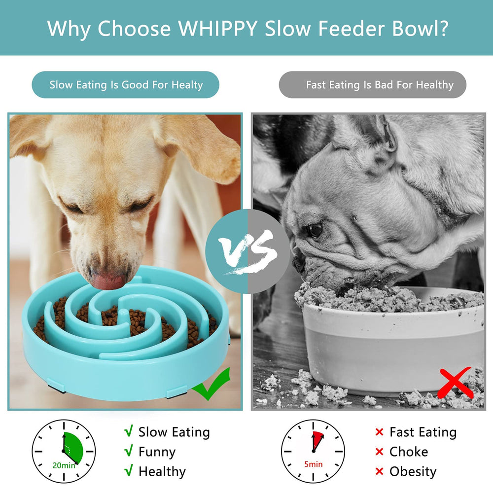 WHIPPY Slow Feeder Large Dog Bowl blue diet-diversity suitable for dry, wet, and raw meals