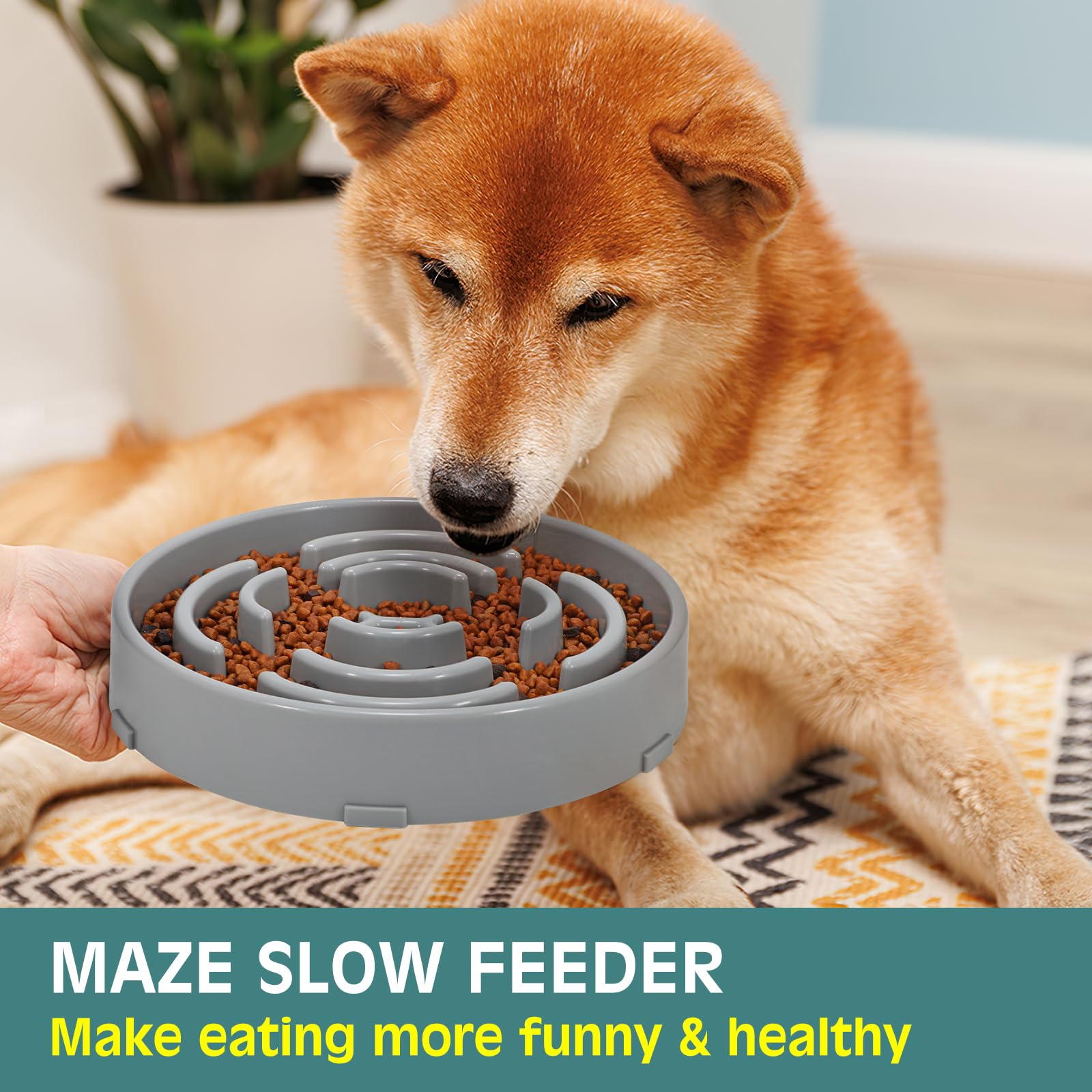 WHIPPY slow feeder bowl versatile design suits dry, wet, or raw diets