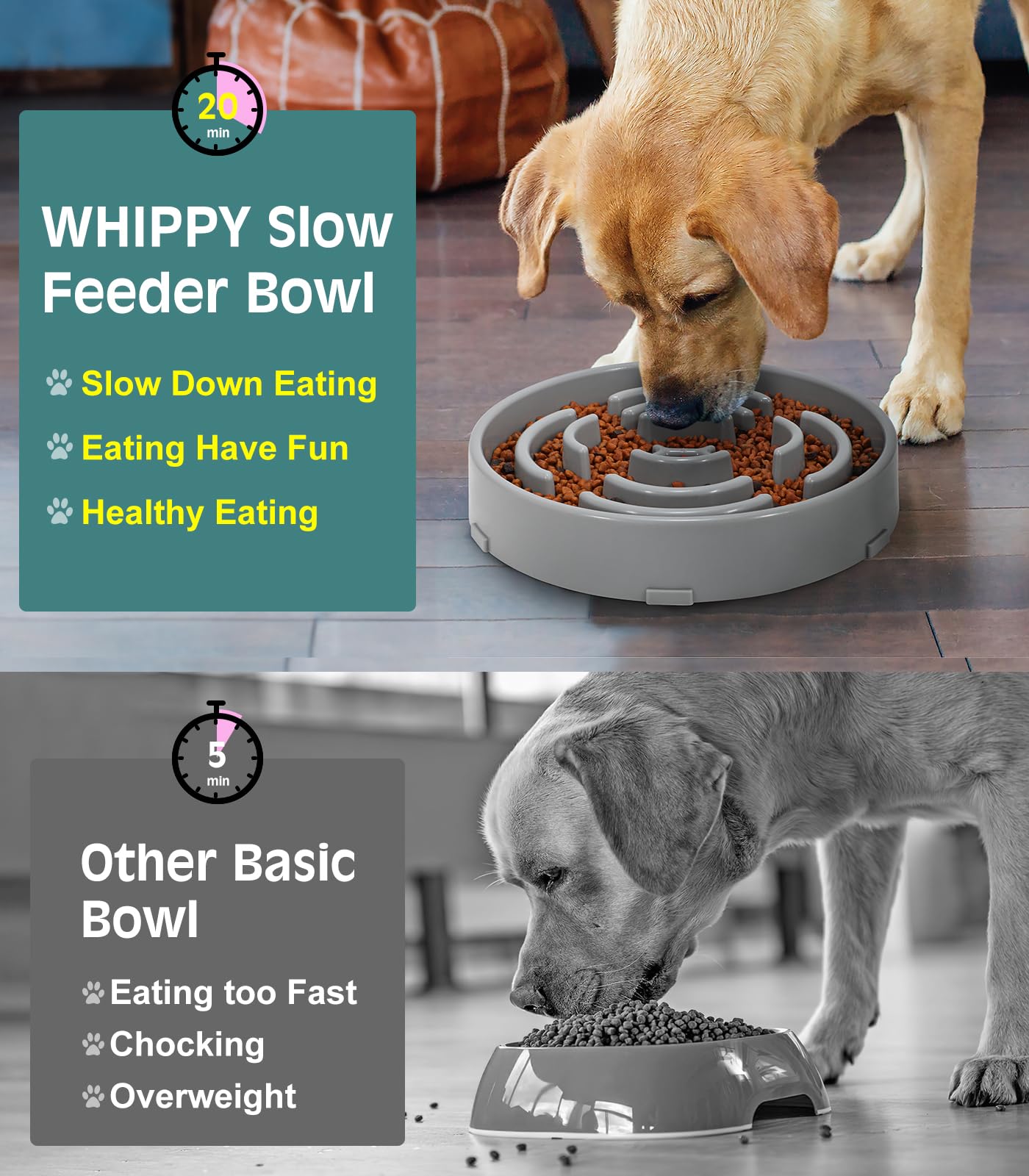 WHIPPY slow feeder bowl easy-clean and dishwasher-safe for busy households