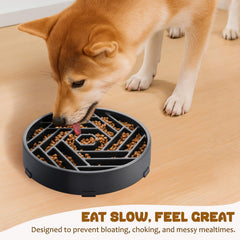 WHIPPY slow feeder gray 9.64-inch diameter supports generous meals