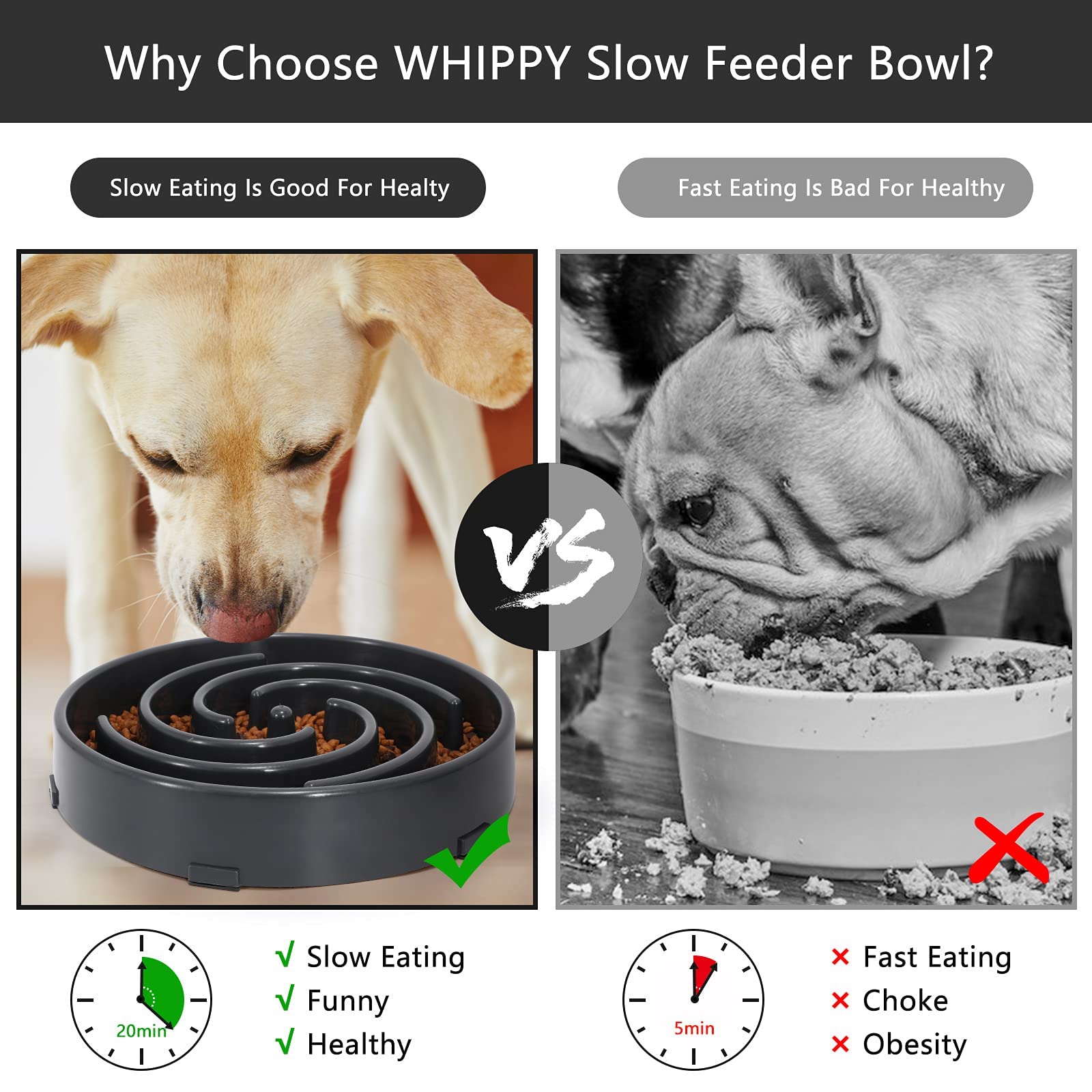 WHIPPY Slow Feeder dog eating in bowl demonstrates interactive feeding experience